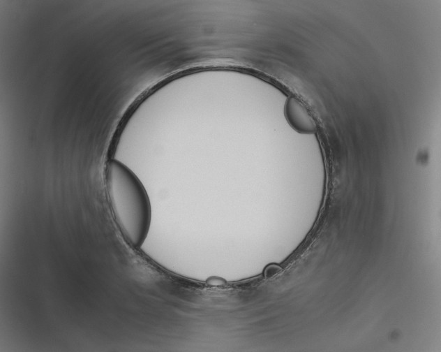 X0000116601181201001081143