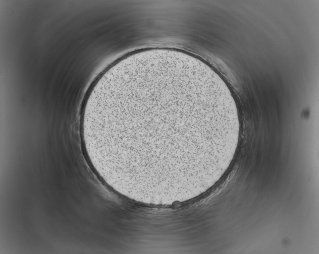 X0000116601184201001081143