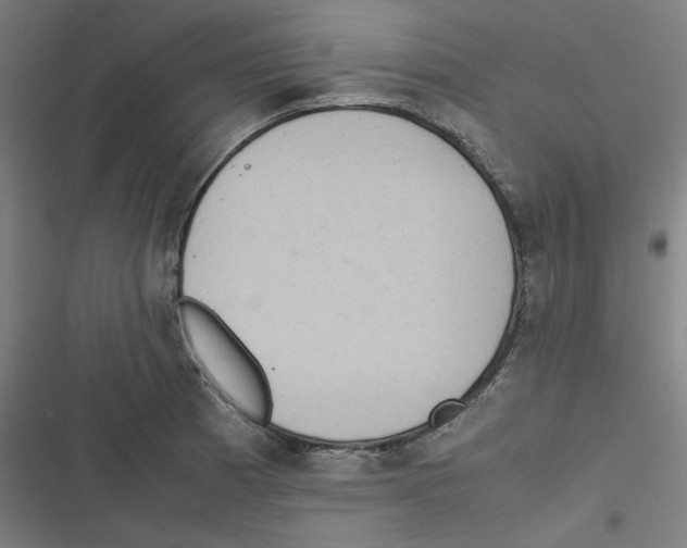 X0000116601185201001081143