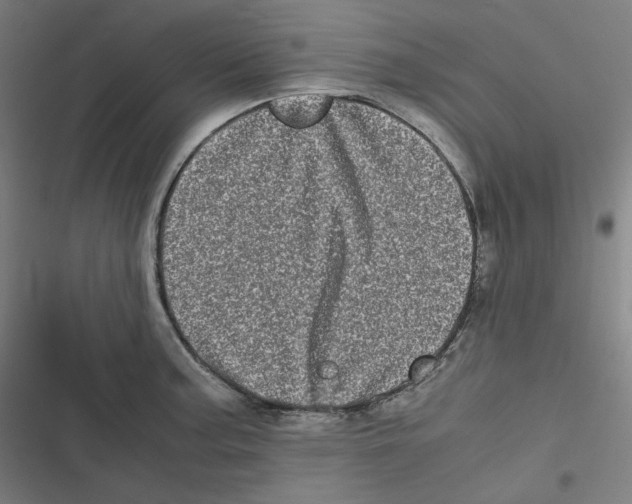 X0000116601187201001081143