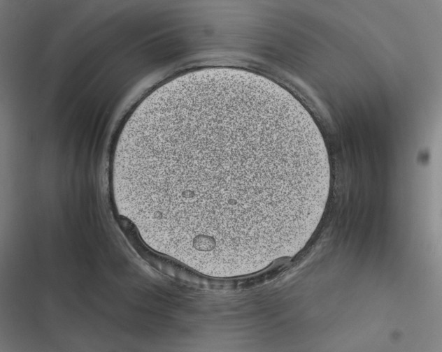 X0000116601188201001081143