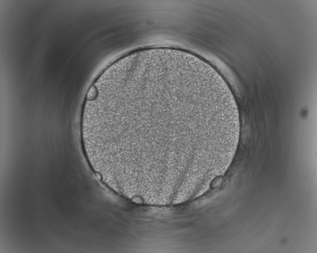 X0000116601191201001081143