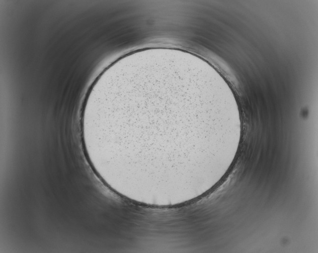 X0000116601192201001081143
