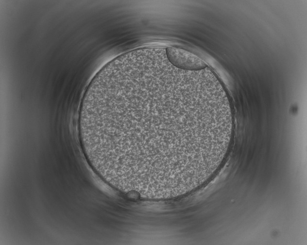 X0000116601194201001081143
