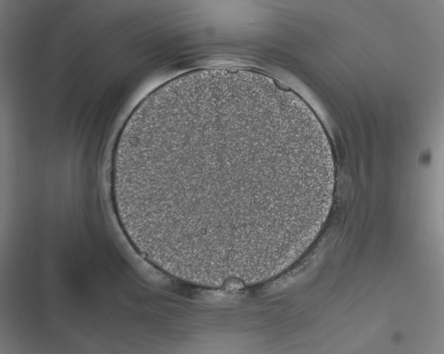 X0000116601195201001081143