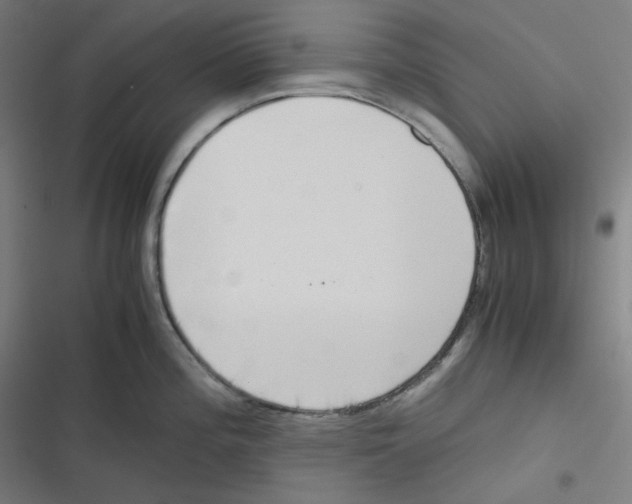 X0000116601196201001081143