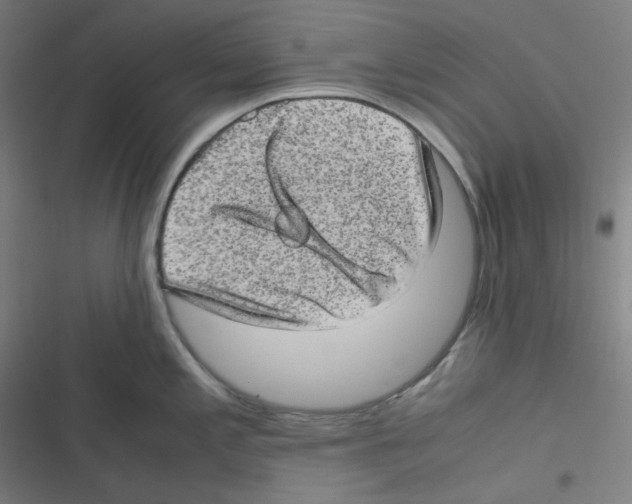X0000116601197201001081143