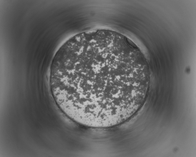 X0000116601198201001081143