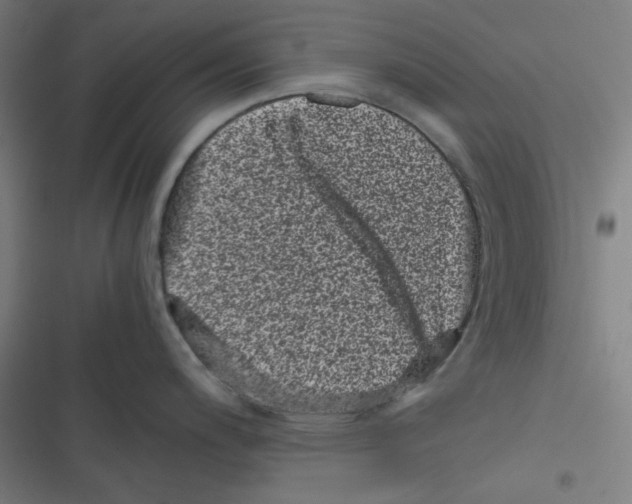 X0000116601200201001081143