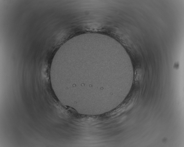 X0000116601202201001081142