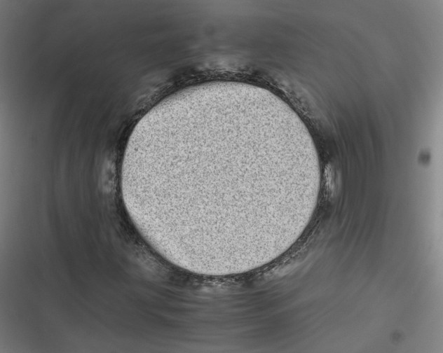 X0000116601203201001081142