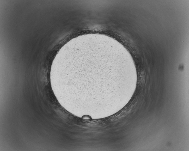 X0000116601205201001081142
