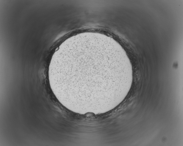 X0000116601206201001081142