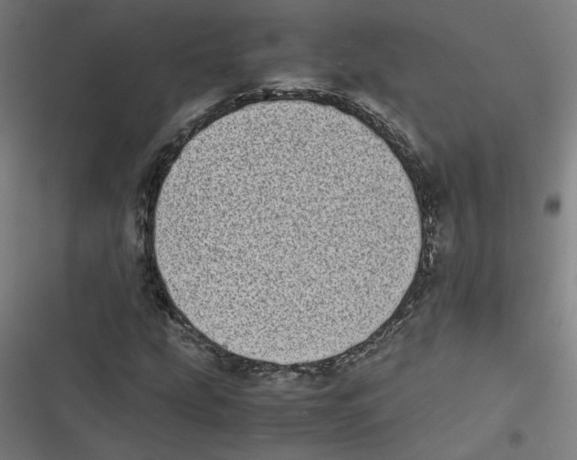 X0000116601207201001081142