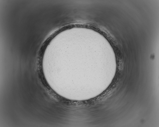 X0000116601208201001081142