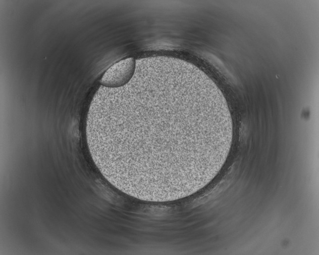 X0000116601209201001081142