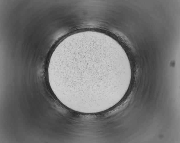 X0000116601210201001081142