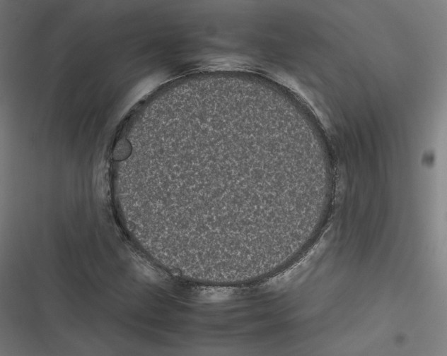 X0000116601211201001081142