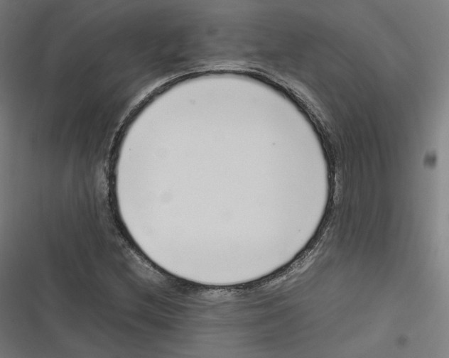 X0000116601212201001081142