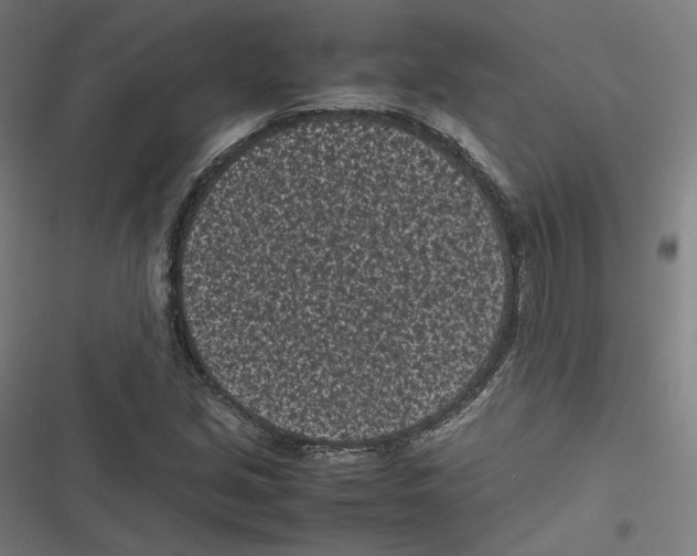 X0000116601213201001081142