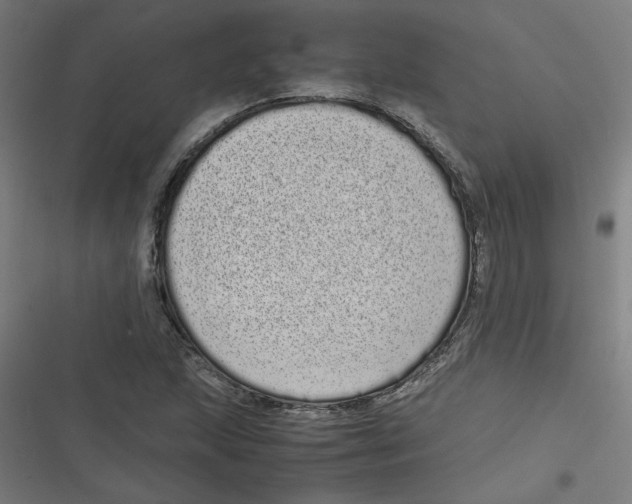X0000116601215201001081142