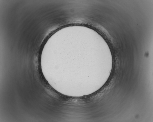 X0000116601218201001081142