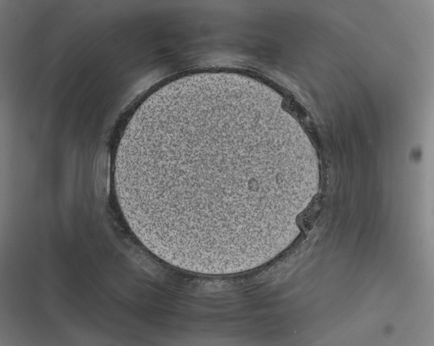 X0000116601219201001081142