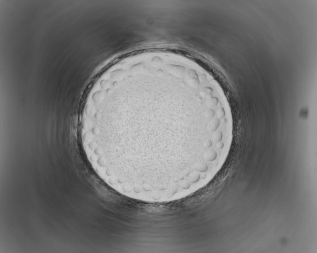 X0000116601220201001081142