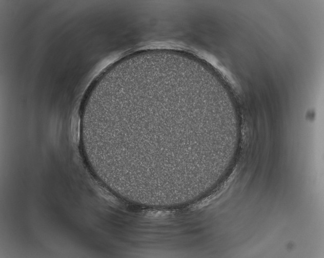 X0000116601221201001081142