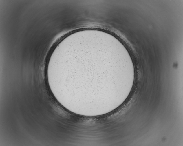 X0000116601222201001081142