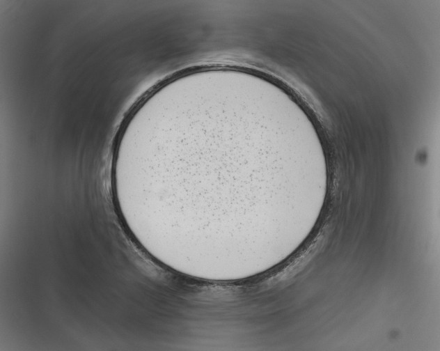 X0000116601224201001081143