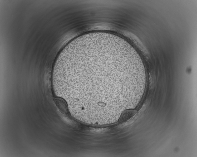 X0000116601225201001081143