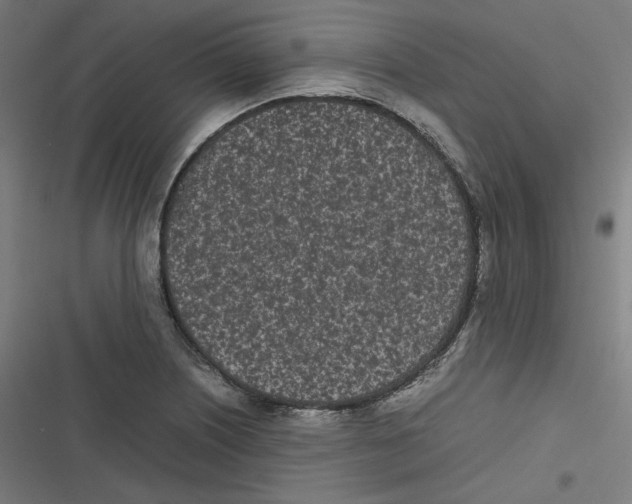 X0000116601226201001081143