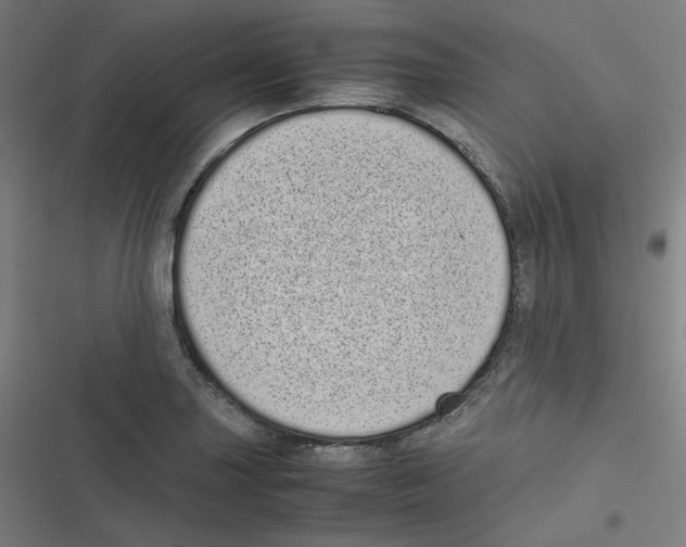 X0000116601227201001081143
