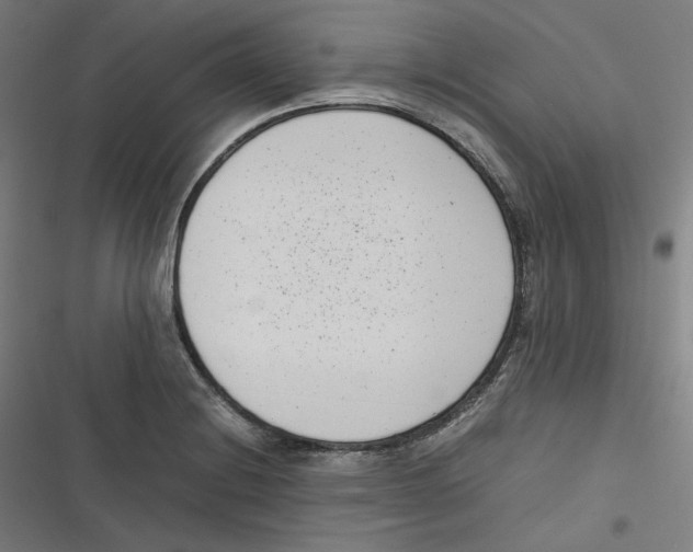 X0000116601228201001081143