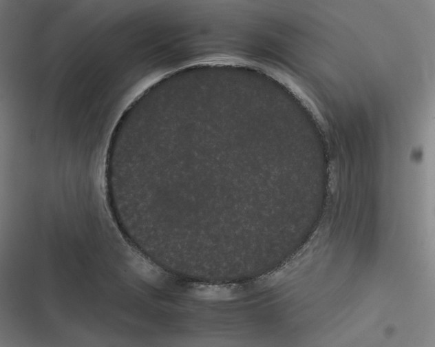X0000116601229201001081143