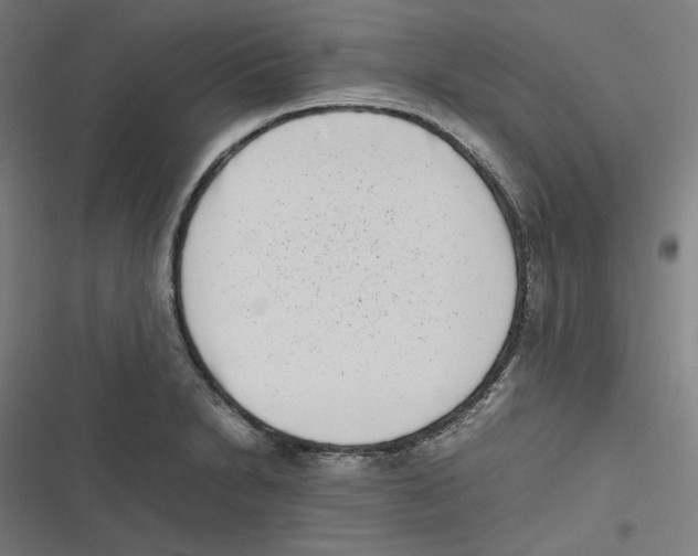 X0000116601230201001081143