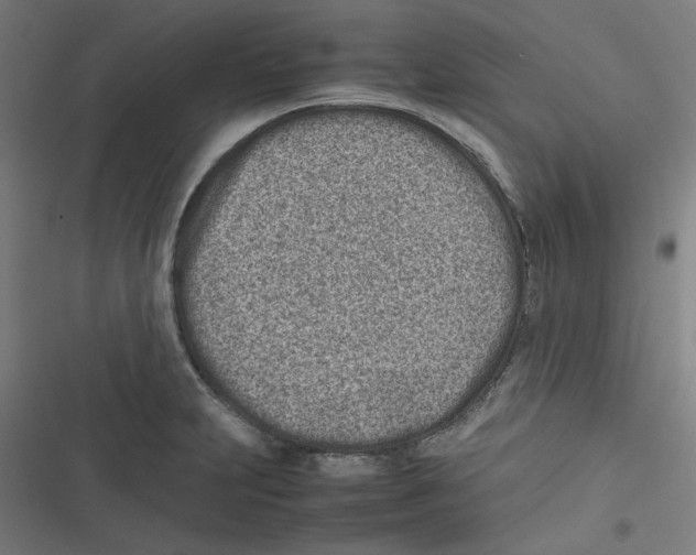 X0000116601231201001081143