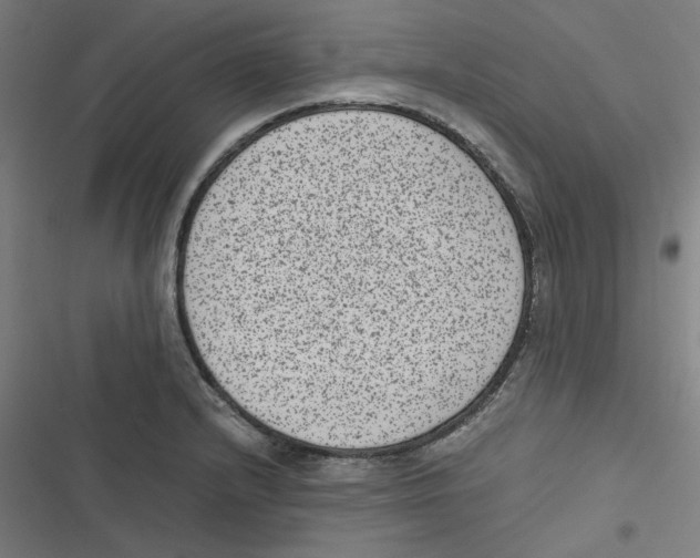 X0000116601232201001081143