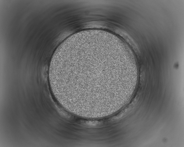 X0000116601233201001081143