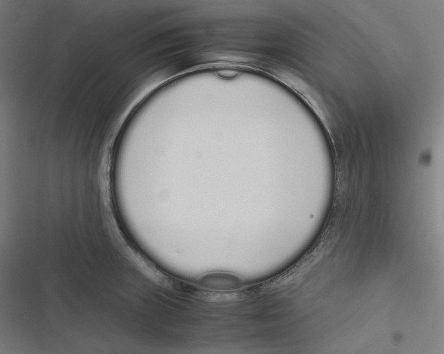 X0000116601235201001081143