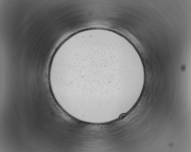 X0000116601240201001081143