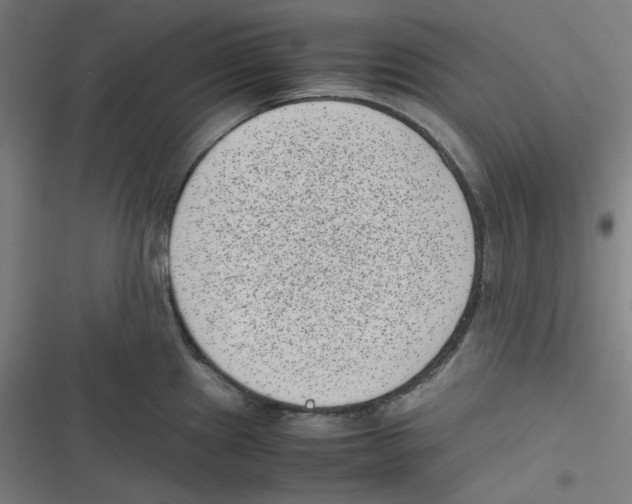 X0000116601241201001081143
