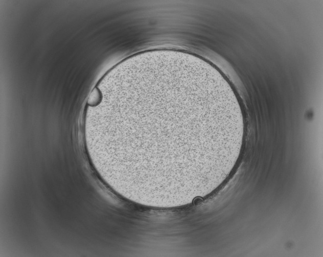 X0000116601242201001081143