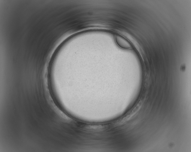X0000116601243201001081143