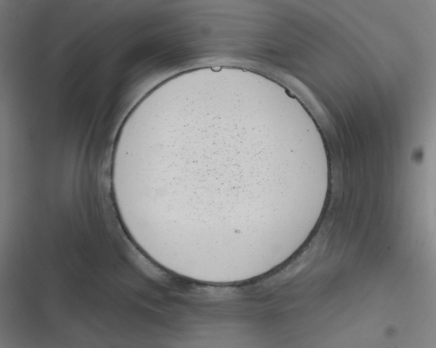 X0000116601244201001081143