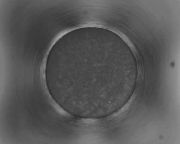X0000116601246201001081143