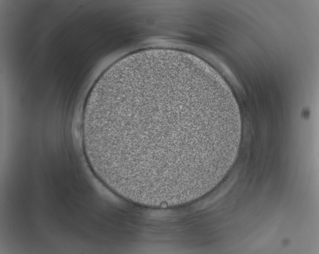 X0000116601247201001081143