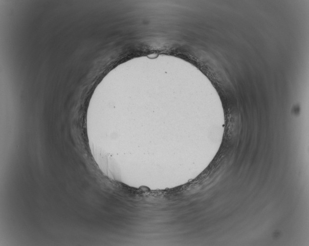 X0000116601249201001081142