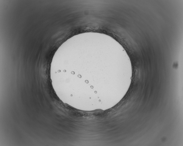 X0000116601250201001081142